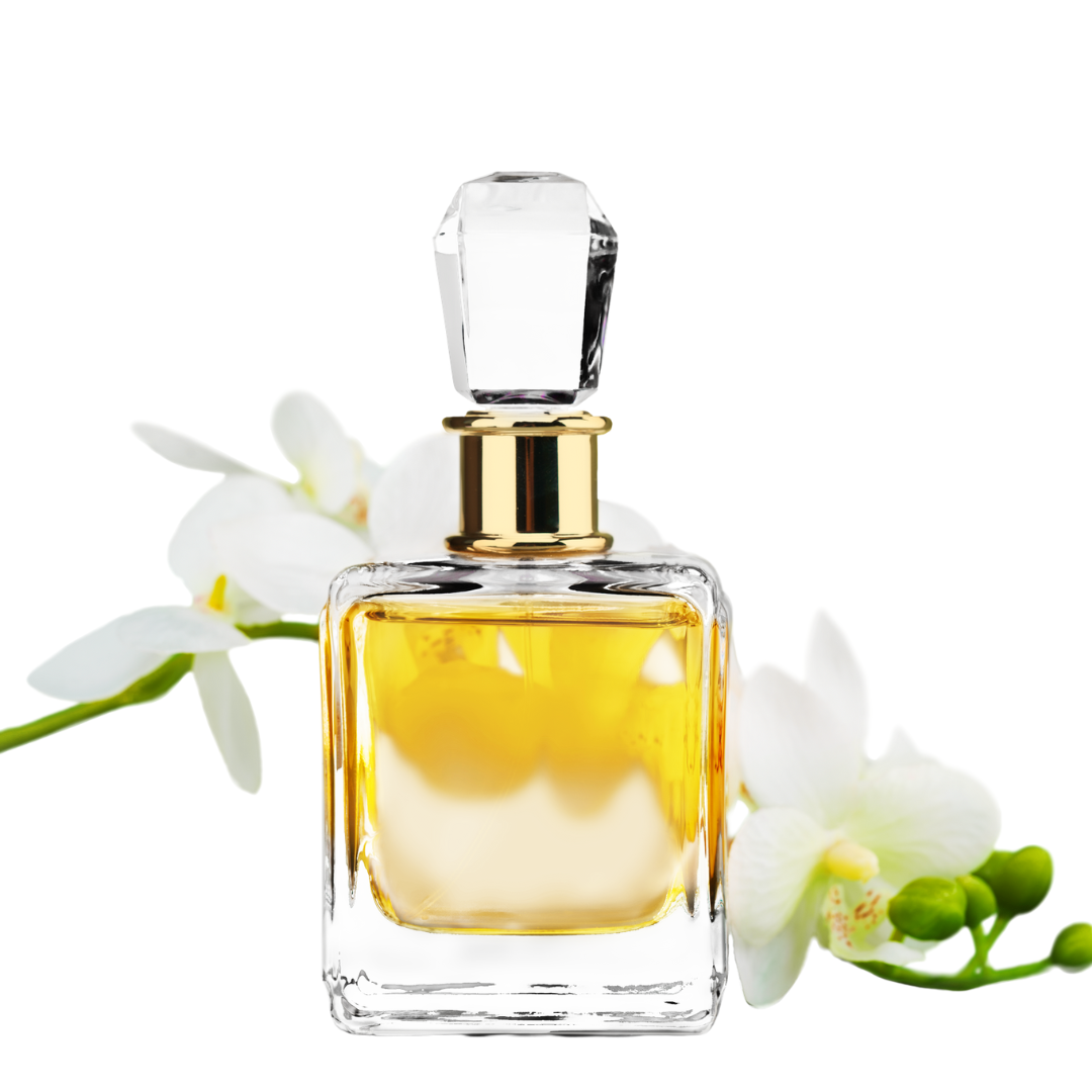 FRAGRANCE'S